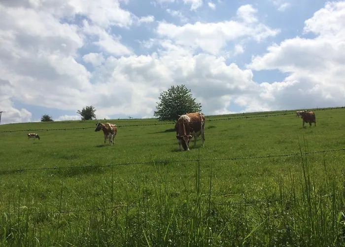 דירה Ferienwohnung-michels